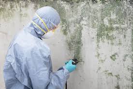 Best Attic Mold Removal  in College, AK